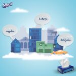 9631032-Selpak სახის საწმენდი 50ც - Image 5